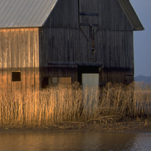 Barn in a flooded grassy field.