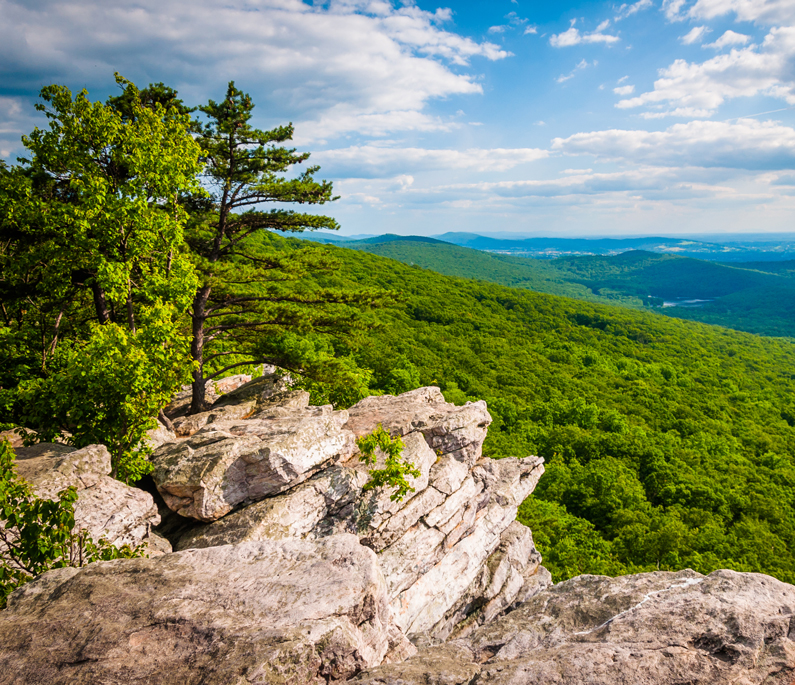 Maryland’s Land and Water Kids Discover Online