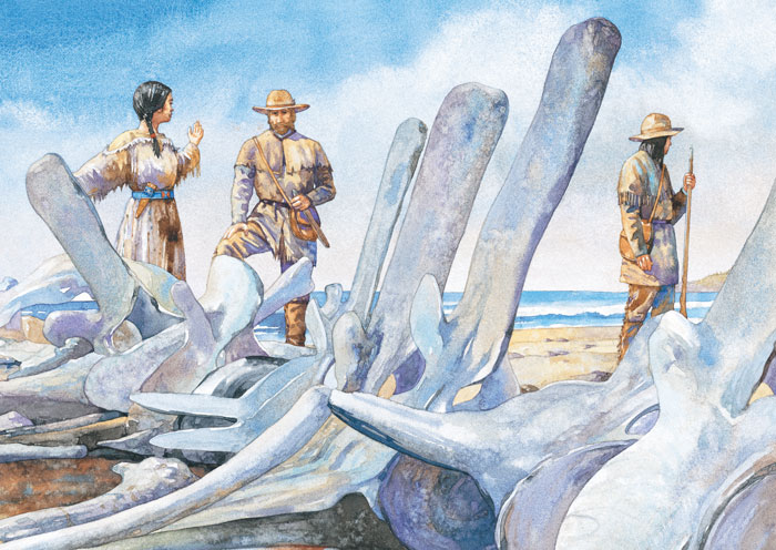 Explorer and two Native Americans examine whale bones washed up on the beach.