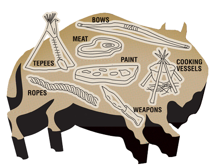 Infographic showing how buffalo were used.