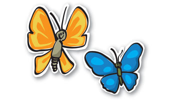 Two butterflies