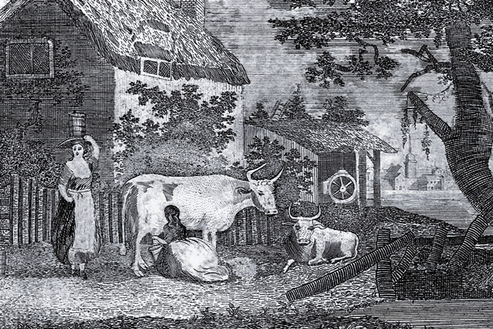 Artist's rendition of two farm women milking cows.