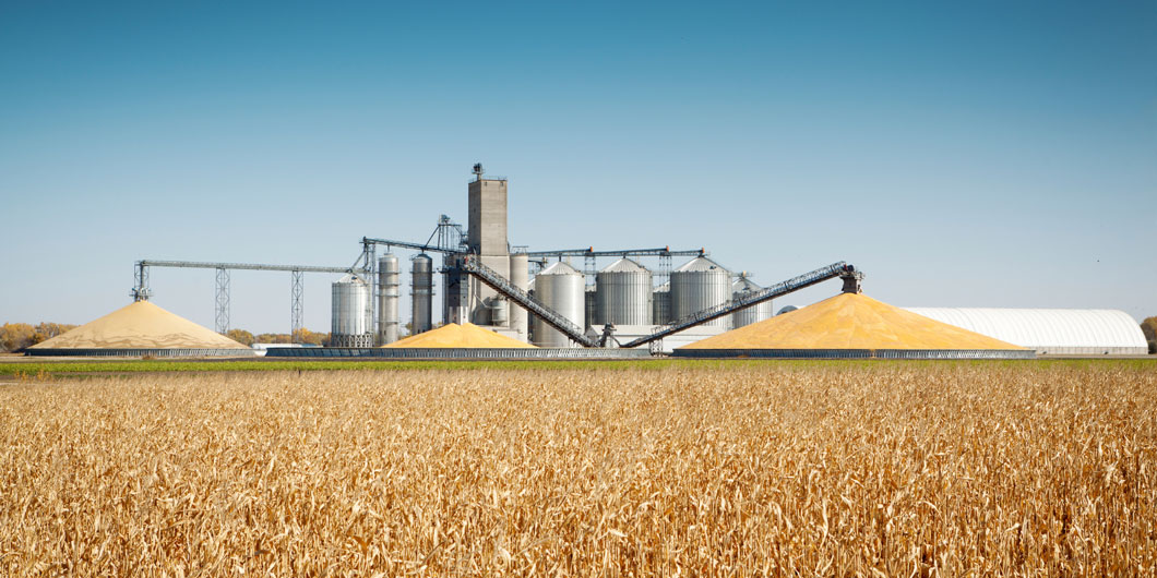 Large cornfield and a mill separating the corn from the husks. 