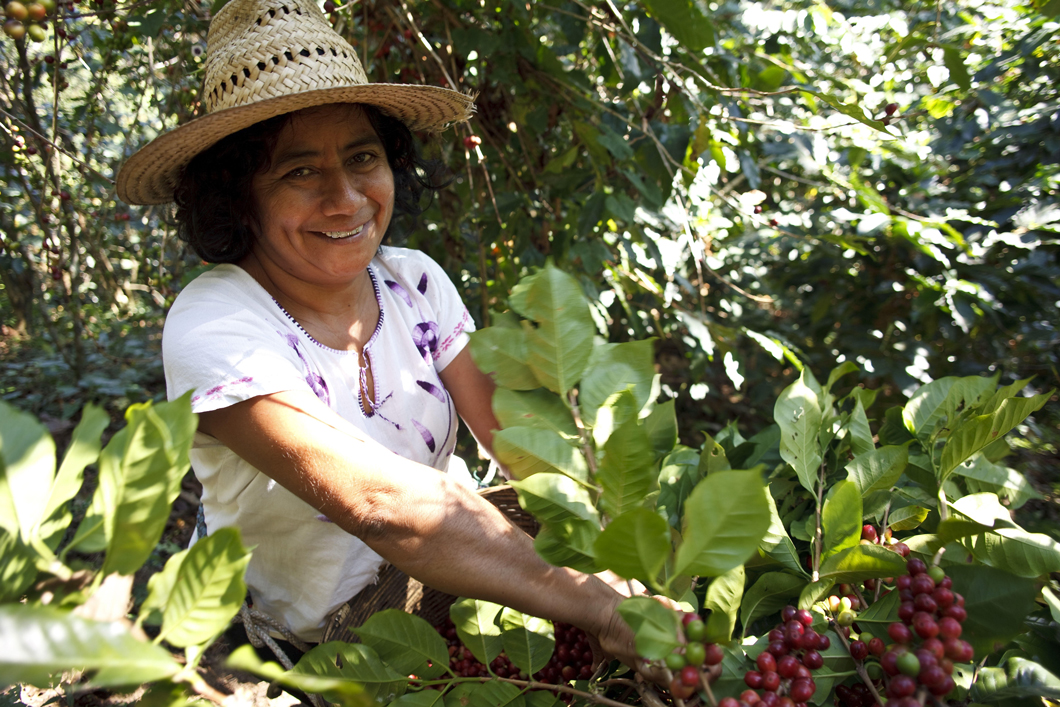 Woman picking fruit from a bush.