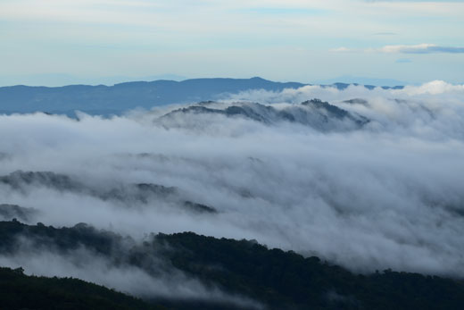 Dense clouds of fog drifting over mountains. 