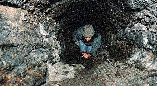 Person inside a cave formed inside a tree.