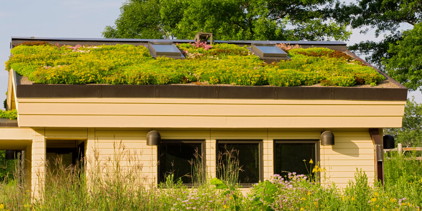 House with a garden in its roof. 