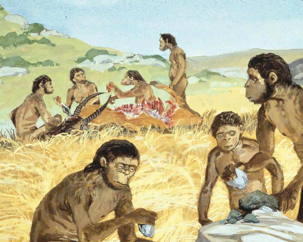 Who Lived in the Stone Age? | Kids Discover Online