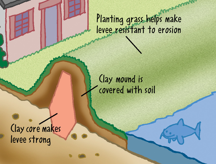 Illustration showing a levee as a hill in front of a house.