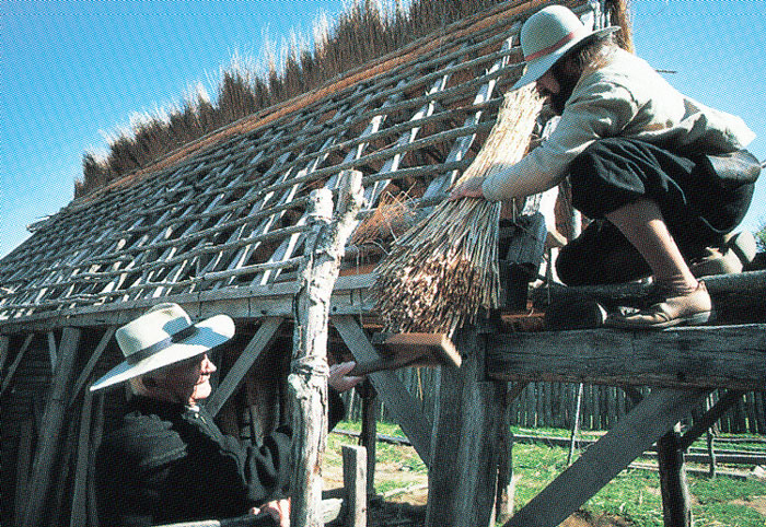 Two men adding straw to a roof in order to repair it. 