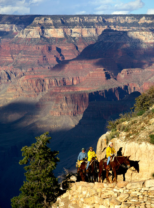 Group of people riding mules through the Grand Ganyon.