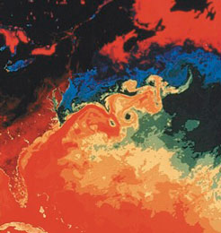 Thermal image of ocean currents taken by satellite.