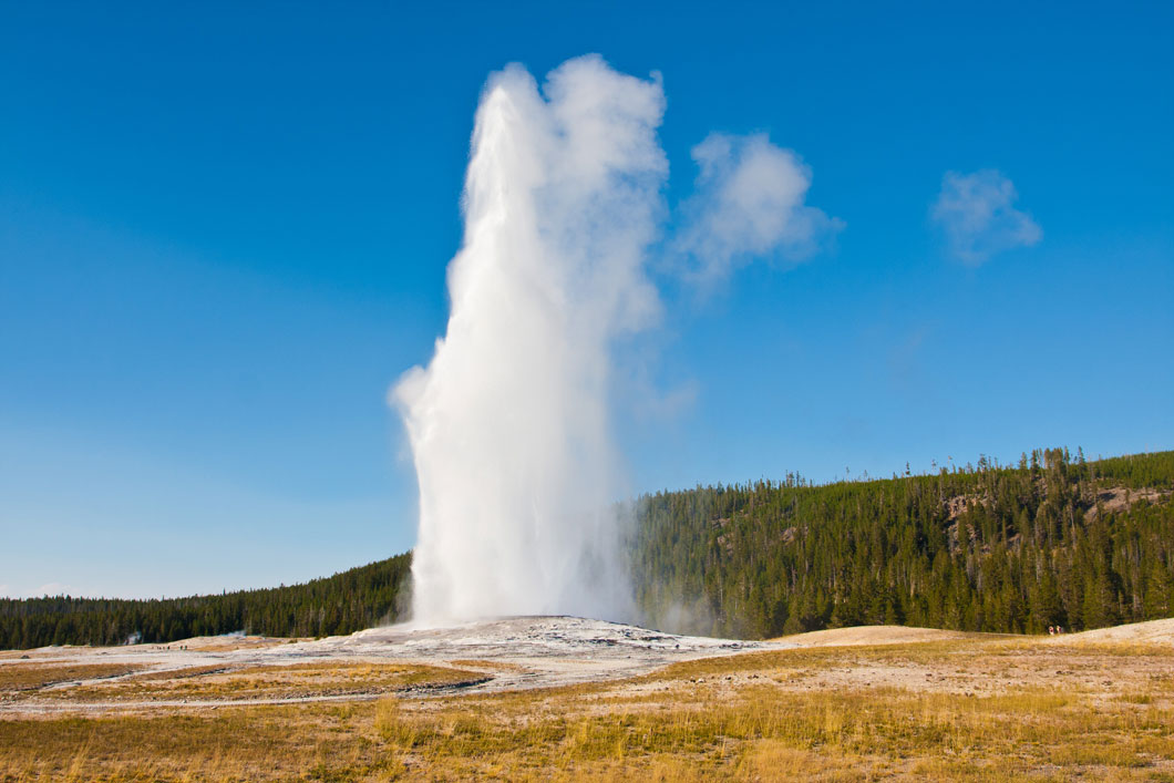 Steam and hot water erupting out of the ground at Old Faithful in Yellowstone Park.