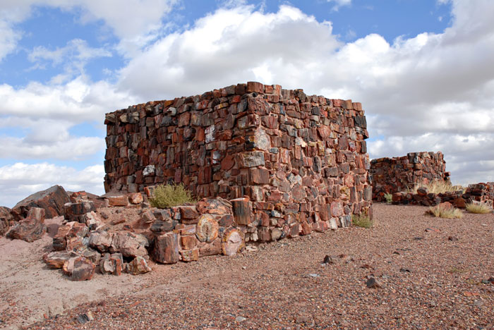 Large cube that looks like stone made from pieces of fossilized trees.