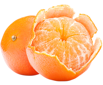 Two oranges, one of which has had its peel cut open and peeled back.