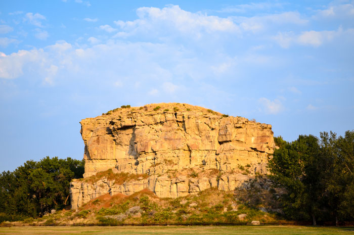 Tall rock formation surrounded by trees.