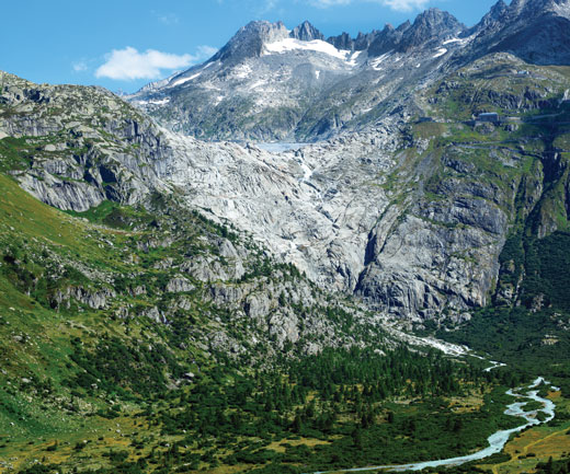 Mountaintop in 2015 covered with grass and plants. 