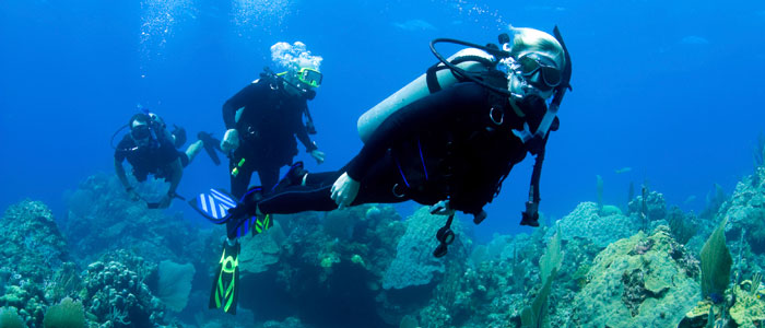 Picture of three scuba divers swimming underwater.