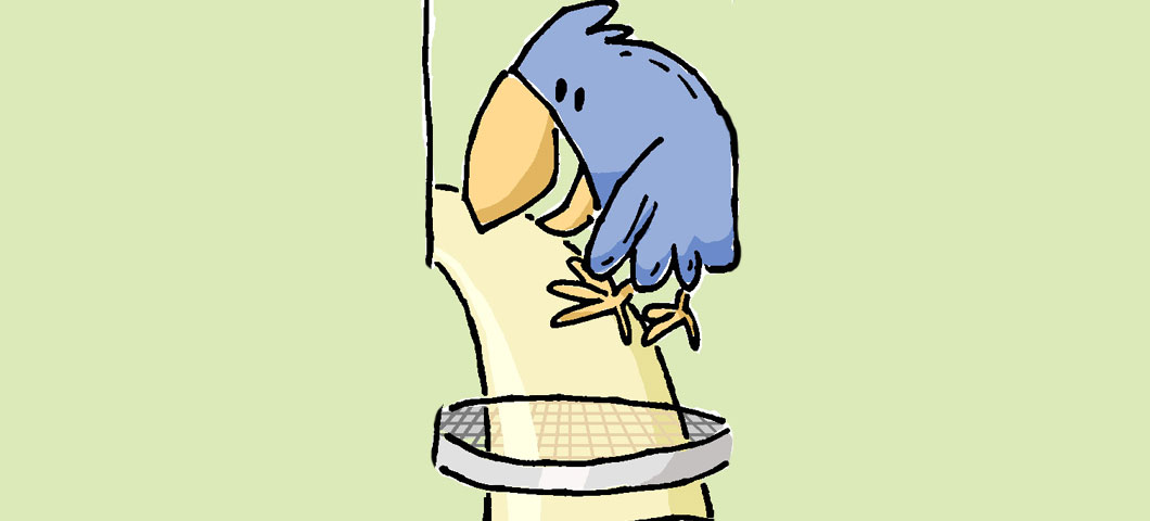 Cartoon of a bird pouring lemonade through a strainer.