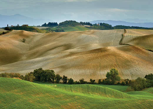 Rolling hills covered with grass and a large field on a hill.