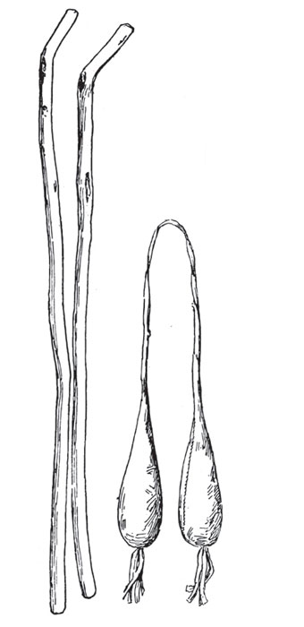 Two sticks that are bent at the end and two balls held together by piece of hide. 