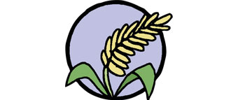 Growing and milling the wheat for the bun.