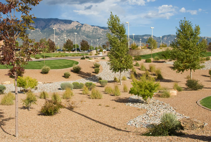 Park with stones, native trees and plants.