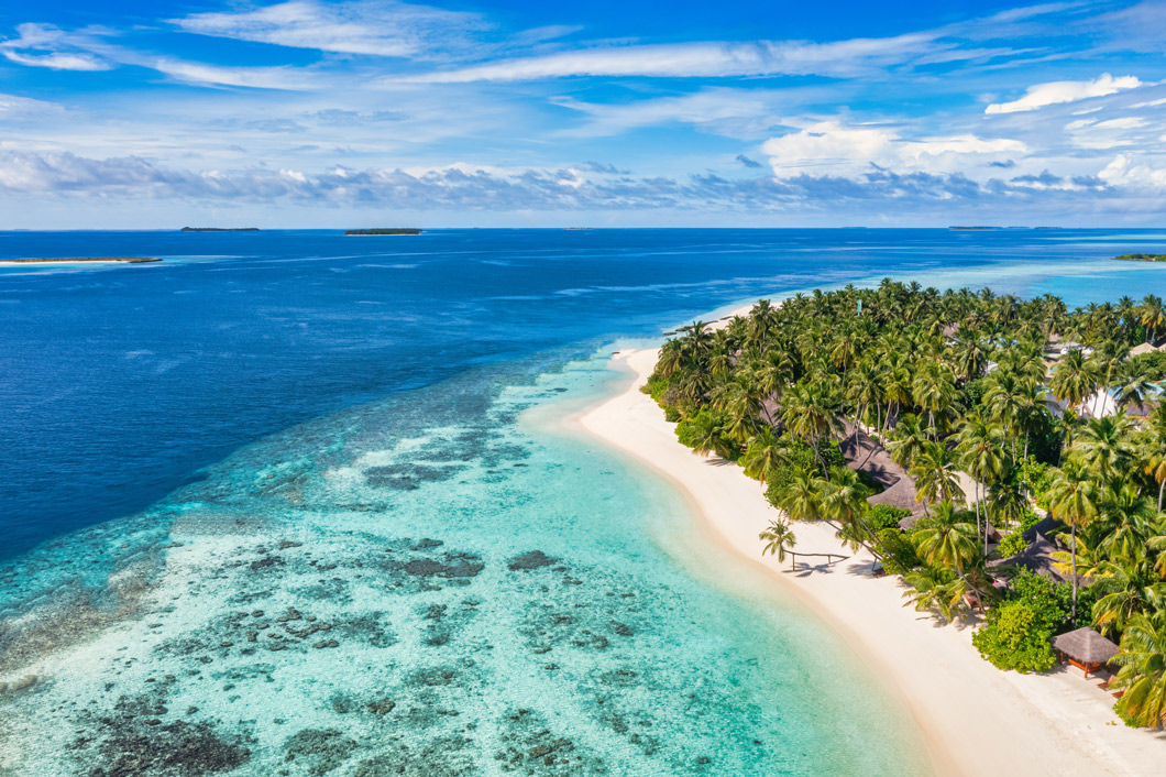 An ocean and the beach.