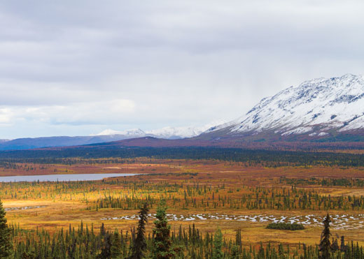 Mountains with snow on them and a wide expanse of land with grasses and trees. 