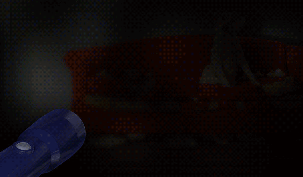 Dark room that gets light when a flashlight is turned on. When on, a dog can be seen sitting on a torn apart couch.