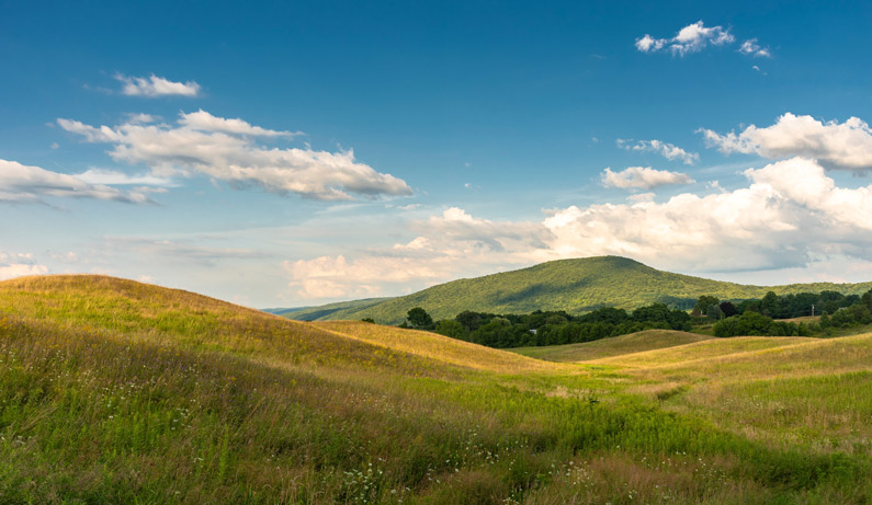 Rolling hills.