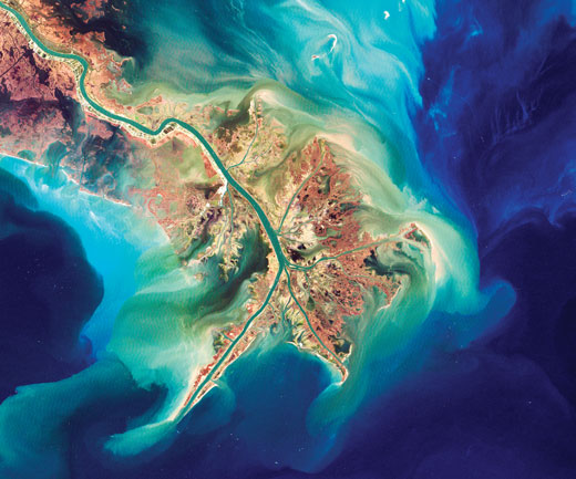 Delta of the Mississippi River seen from space.