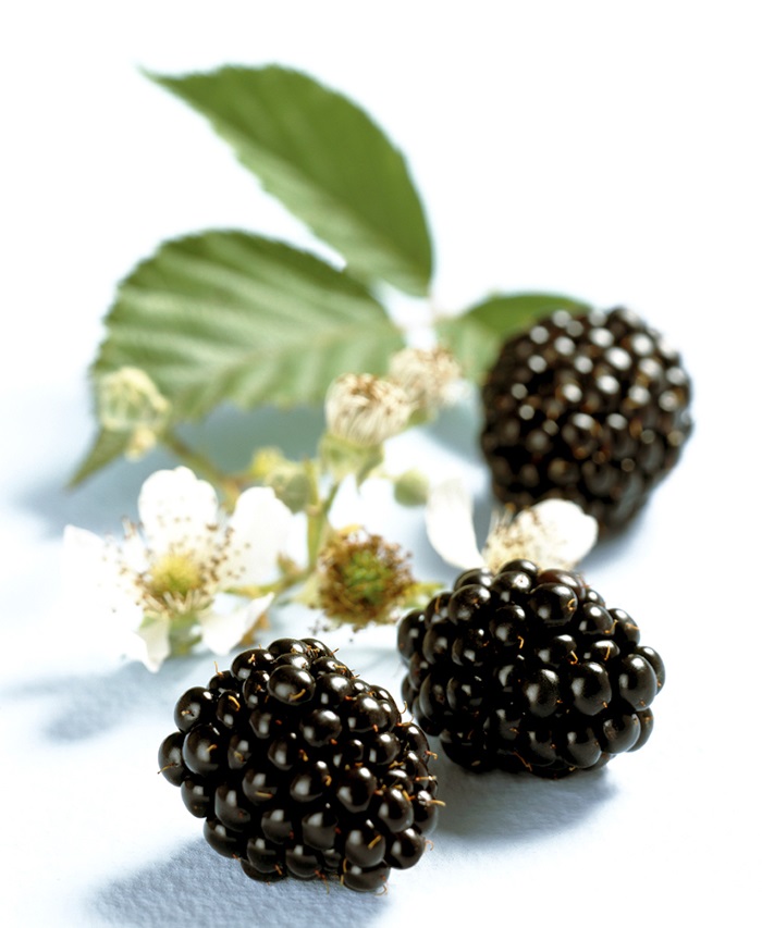 Blackberries