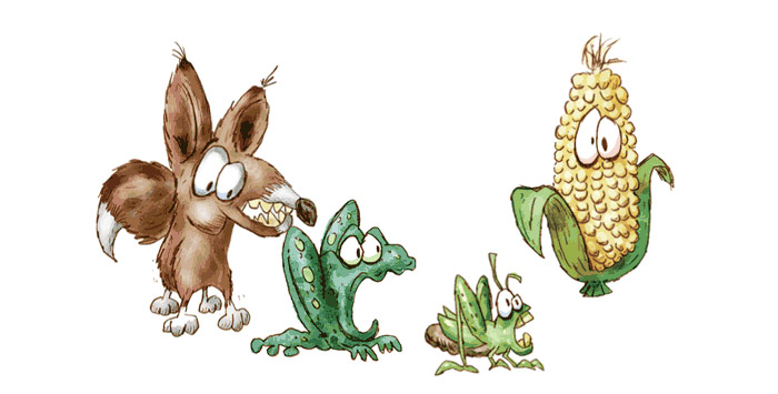 Cartoon foodchain of a fox eating a frog eating a grasshopper eating corn.