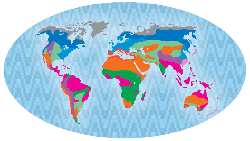 Map of Earth with each of the major biomes highlighted.