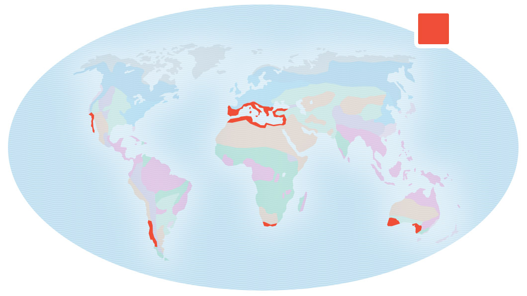 Map of Earth showing locations of chaparral in California, southern Chile, the southern Africa, southwestern Australia, and around the Mediterranean Sea.