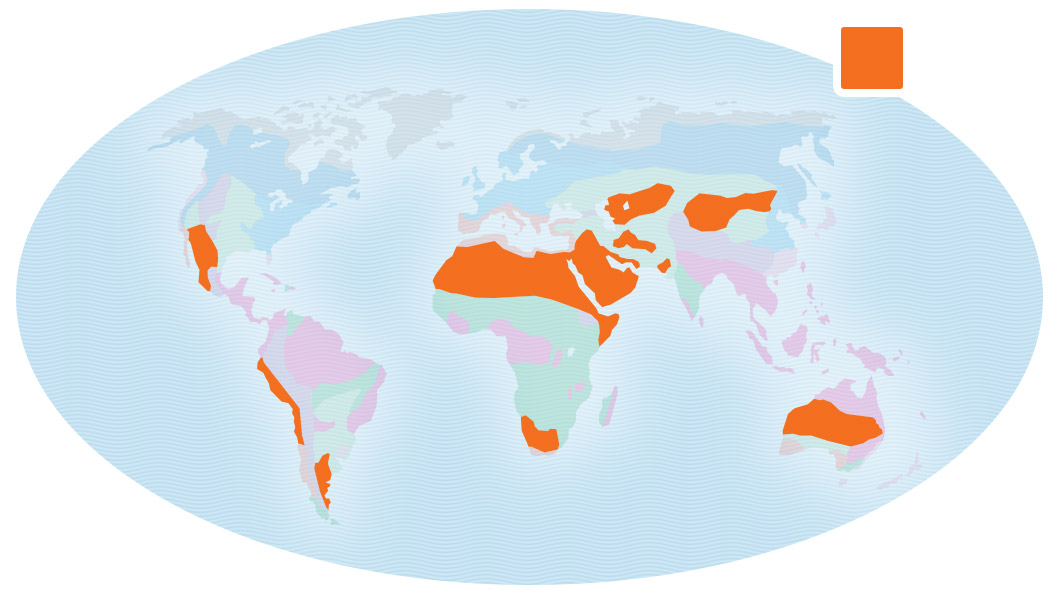Map of Earth showing locations of deserts as northern Africa, western United States, western South America, Central Asia and Australia.