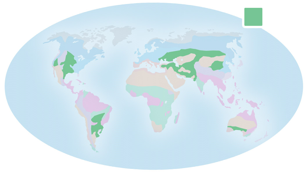 Map of Earth showing locations of temperate grassland in central United States, southeastern South America, southwestern Australia, and central Asia.