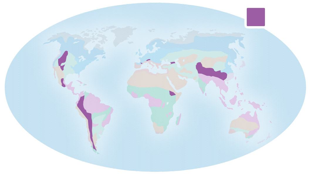 Map of Earth showing the locations of mountains as the western United States and South America, and through central Asia.