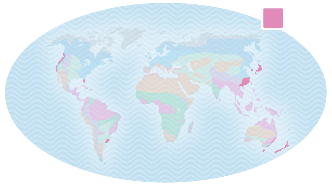 Map of Earth showing the locations of the temperate rainforest in northwestern United States, eastern Asia, and a spot in eastern South America.