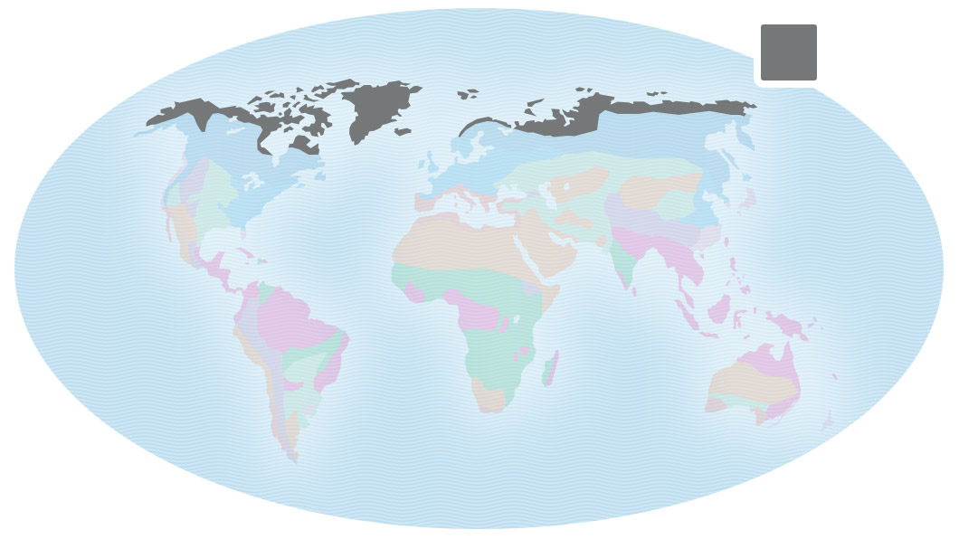 Map of Earth with tundra highlighted at the top in the Arctic Circle.