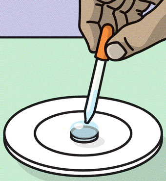 Person using an eye-dropper to place a drop of water on a plate.