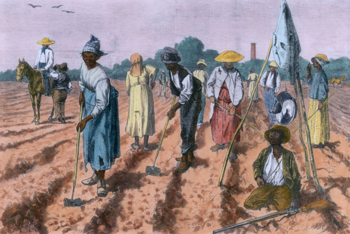 Artist's rendition of enslaved people working in a field with hoes and shovels.