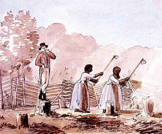 Two African American woman work in a field as a white man looks after them,