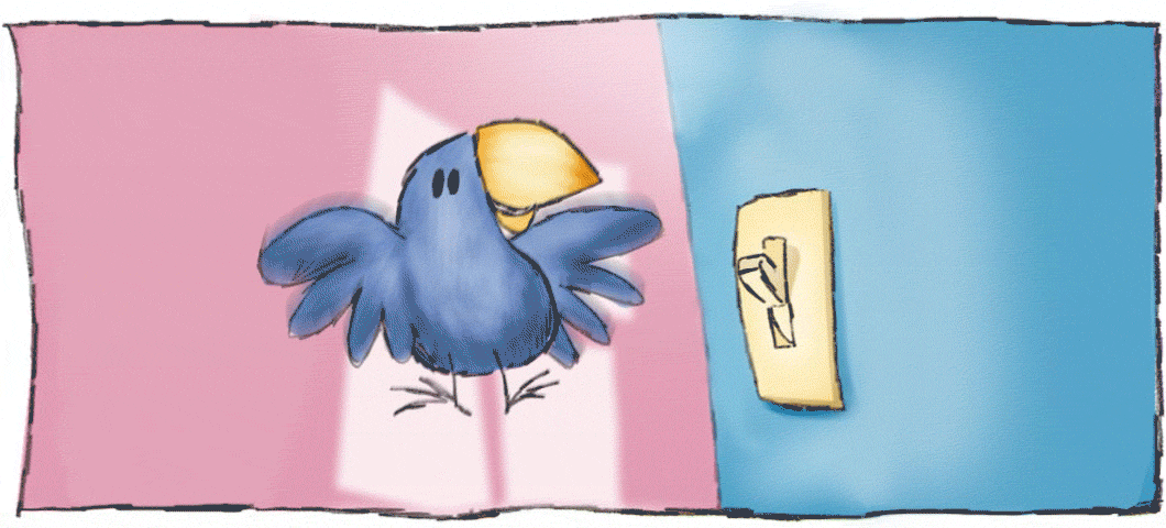 Animation of a bird fluttering around next to a light switch.