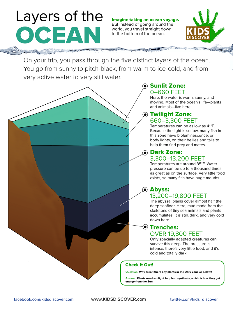 Layers of the Ocean | Kids Discover Online