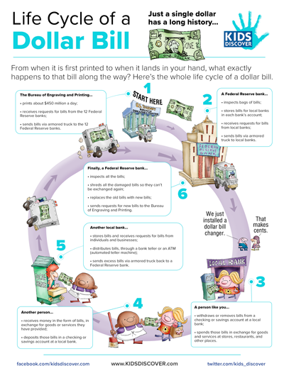 Life Cycle of a Dollar Bill | Kids Discover Online